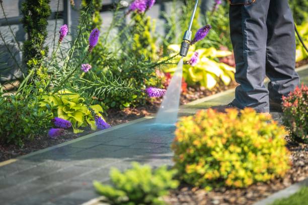 Best Patio and Deck Pressure Washing  in Mundelein, IL