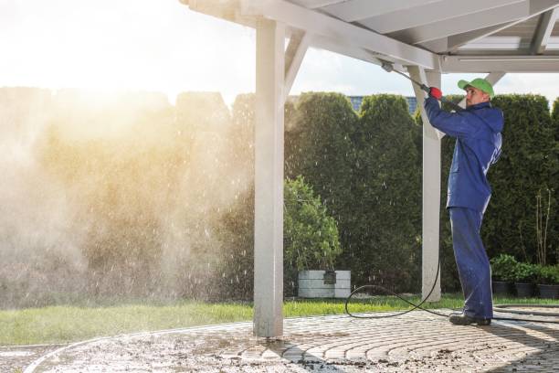 Best Driveway Pressure Washing  in Mundelein, IL